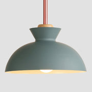 Simple Stained Iron Round Pendant Light