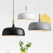 Contemporary Acorn Pendant Lamp