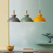 Simple Stained Iron Round Pendant Light