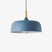 Contemporary Acorn Pendant Lamp