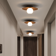 Contemporary Minimalist Entrance Ceiling Lights