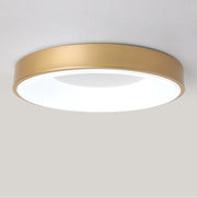 Modern Flush Mount Dimmable LED Ceiling Lights