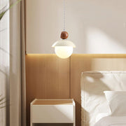 Modern Globe Ceiling Pendant Light with Glass Lampshade