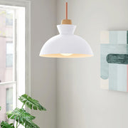 Simple Stained Iron Round Pendant Light