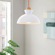 Simple Stained Iron Round Pendant Light