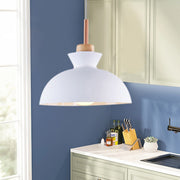 Simple Stained Iron Round Pendant Light