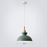 Simple Stained Iron Round Pendant Light