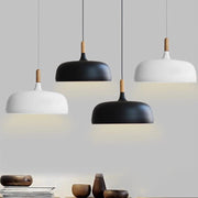Contemporary Acorn Pendant Lamp
