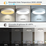 Simple LED Dimmable Ceiling Lights For Living Room
