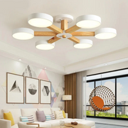 Nordic Multi-Ring LED Living Room Ceiling Light