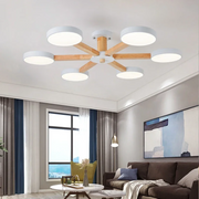 Nordic Multi-Ring LED Living Room Ceiling Light