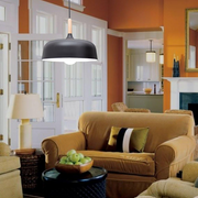 Contemporary Acorn Pendant Lamp