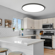 Minimalism Round Flush LED Dimmable Ceiling Light