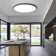 Minimalism Round Flush LED Dimmable Ceiling Light