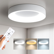 Simple LED Dimmable Ceiling Lights For Living Room