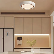 Elegant Design Round Plate LED Living Room Ceiling Light