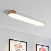 Modern Minimalist Hall Way Long Ceiling Lights Fixture