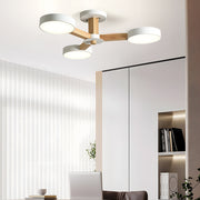 Nordic Multi-Ring LED Living Room Ceiling Light