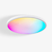 Smart LED Ceiling Light with Remote Control and App Control