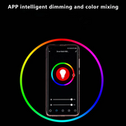 RGB LED Smart Bluetooth Music Ceiling Room for Bedroom