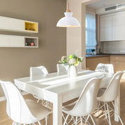 Simple Stained Iron Round Pendant Light