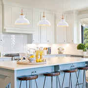 Simple Stained Iron Round Pendant Light