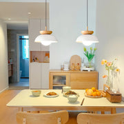 Modern LED Ceiling Pendant Lamp