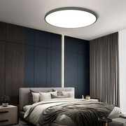 Minimalism Round Flush LED Dimmable Ceiling Light