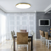 Minimalism Round Flush LED Dimmable Ceiling Light