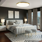 Minimalism Round Flush LED Dimmable Ceiling Light