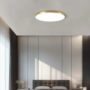 Minimalism Round Flush LED Dimmable Ceiling Light