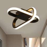 Unique LED Hallway Iron Black Ceiling Light