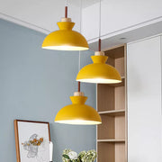 Simple Stained Iron Round Pendant Light