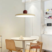 Modern Simple Disc Pendant Lamp