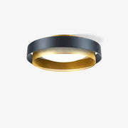 Contemporary Simple Flush Mount Ceiling Light