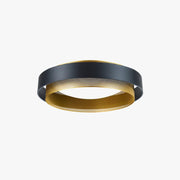 Contemporary Simple Flush Mount Ceiling Light
