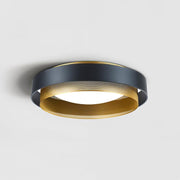 Contemporary Simple Flush Mount Ceiling Light