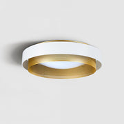 Contemporary Simple Flush Mount Ceiling Light