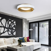 Contemporary Simple Flush Mount Ceiling Light