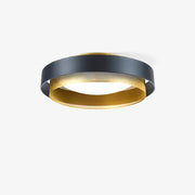 Contemporary Simple Flush Mount Ceiling Light