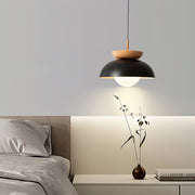 Modern LED Ceiling Pendant Lamp