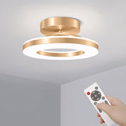 Gold Simple Iron Hallway LED Dimmable Ceiling Light