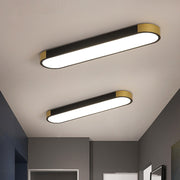 Modern Minimalist Creative Iron Living Room LED Ceiling Light