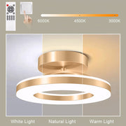 Gold Simple Iron Hallway LED Dimmable Ceiling Light