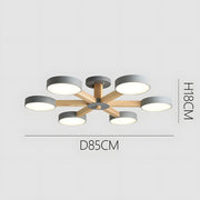 Nordic Multi-Ring LED Living Room Ceiling Light