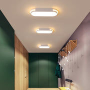 Simple Acrylic Flush Mount LED Ceiling Light