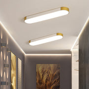 Modern Minimalist Creative Iron Living Room LED Dimmable Ceiling Light