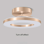 Gold Simple Iron Hallway LED Dimmable Ceiling Light