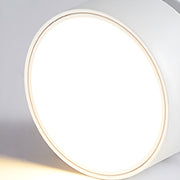 Contemporary Mini Surface Mounted Adjustable Ceiling Lamp