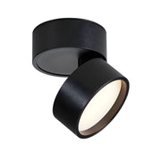 Contemporary Mini Surface Mounted Adjustable Ceiling Lamp